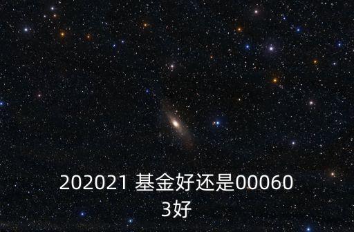 202021 基金好還是000603好