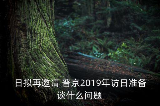 日擬再邀請(qǐng) 普京2019年訪日準(zhǔn)備談什么問(wèn)題