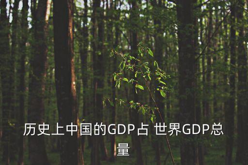 中國gdp占世界,中國GDP占世界經(jīng)濟(jì)比重上升至世界第幾大經(jīng)濟(jì)體