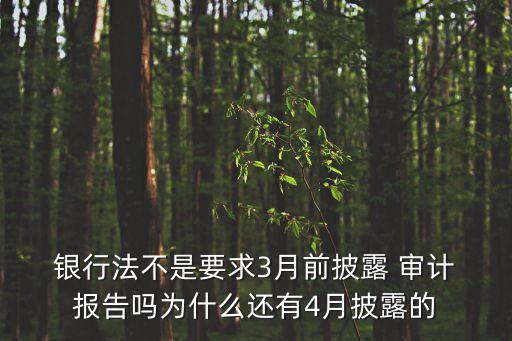 銀行信息科技審計報告,銀行關(guān)聯(lián)交易專項審計報告