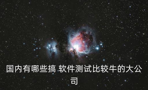 國內(nèi)有哪些搞 軟件測試比較牛的大公司