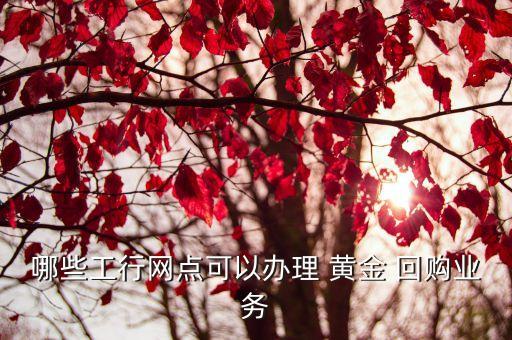 哪些工行網(wǎng)點(diǎn)可以辦理 黃金 回購(gòu)業(yè)務(wù)