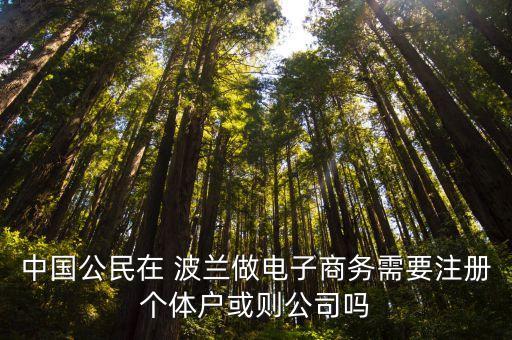 中國公民在 波蘭做電子商務(wù)需要注冊個體戶或則公司嗎