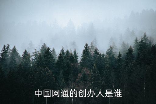 聯(lián)通紅籌公司,什么是紅籌公司