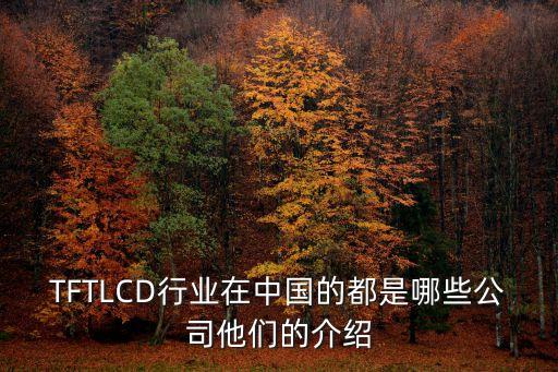 TFTLCD行業(yè)在中國的都是哪些公司他們的介紹