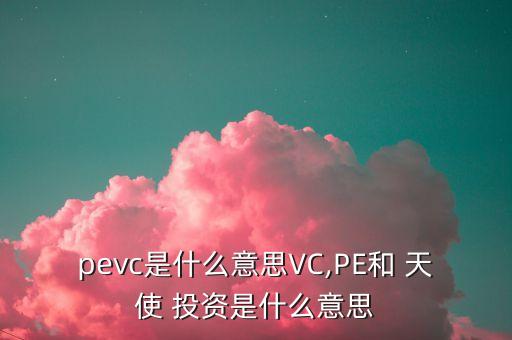 pevc是什么意思VC,PE和 天使 投資是什么意思