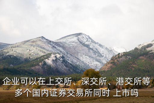 企業(yè)可以在上交所、深交所、港交所等多個國內(nèi)證券交易所同時 上市嗎