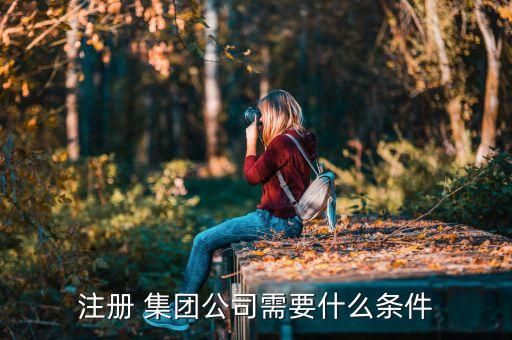 注冊 集團公司需要什么條件