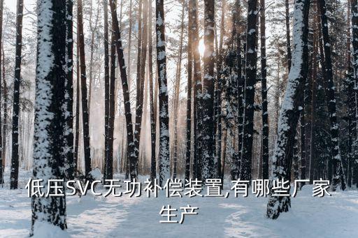 低壓SVC無(wú)功補(bǔ)償裝置,有哪些廠家生產(chǎn)