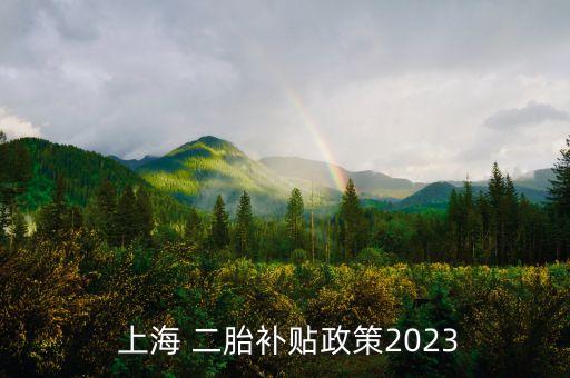  上海 二胎補(bǔ)貼政策2023