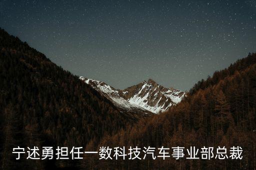 寧述勇?lián)我粩?shù)科技汽車事業(yè)部總裁