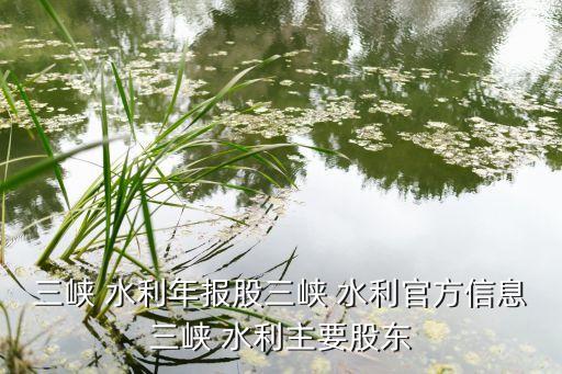 三峽 水利年報(bào)股三峽 水利官方信息三峽 水利主要股東