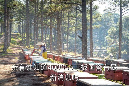 親有誰知道400055三板國瓷有最新消息嗎