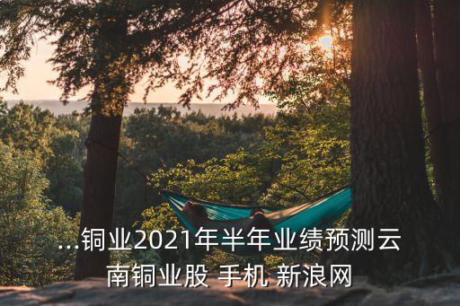 ...銅業(yè)2021年半年業(yè)績預(yù)測云南銅業(yè)股 手機 新浪網(wǎng)