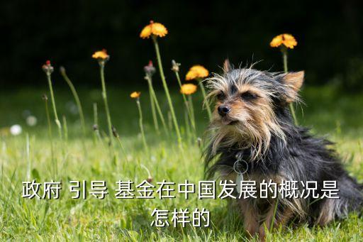 創(chuàng)投引導(dǎo)基金2014,西城區(qū)產(chǎn)業(yè)創(chuàng)投引導(dǎo)基金