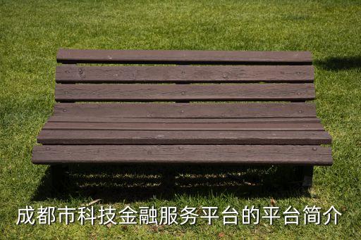 成都市科技金融服務(wù)平臺(tái)的平臺(tái)簡(jiǎn)介