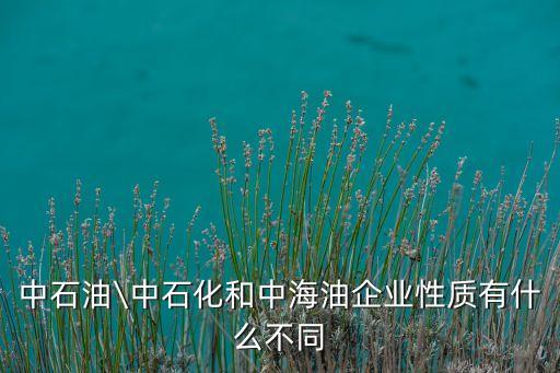 中投公司收購海外油氣田