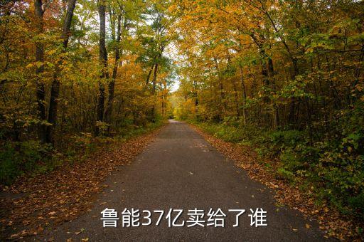  魯能37億賣給了誰