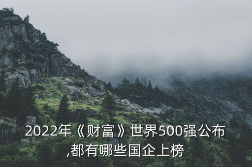 2022年《財(cái)富》世界500強(qiáng)公布,都有哪些國企上榜