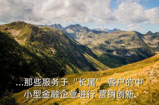 ...那些服務(wù)于“長尾” 客戶的中小型金融企業(yè)進(jìn)行 營銷創(chuàng)新