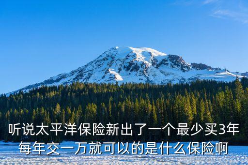 聽(tīng)說(shuō)太平洋保險(xiǎn)新出了一個(gè)最少買(mǎi)3年每年交一萬(wàn)就可以的是什么保險(xiǎn)啊