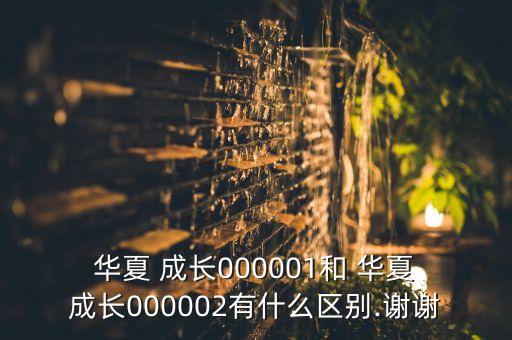  華夏 成長(zhǎng)000001和 華夏 成長(zhǎng)000002有什么區(qū)別.謝謝