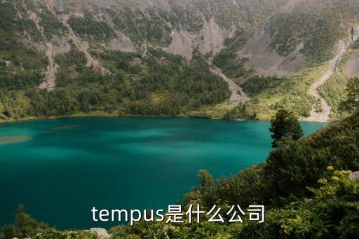 tempus是什么公司