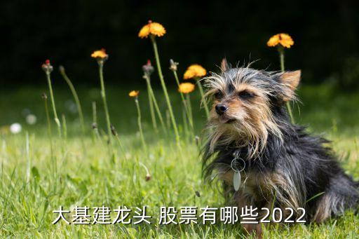 大基建龍頭 股票有哪些2022