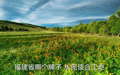 天瑞集團(tuán)與山水水泥,中國天瑞集團(tuán)水泥有限公司