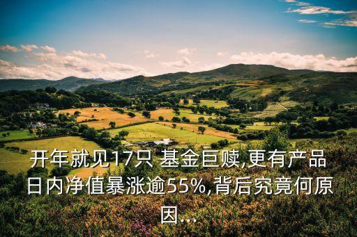 開年就見17只 基金巨贖,更有產(chǎn)品日內(nèi)凈值暴漲逾55%,背后究竟何原因...