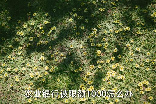  農(nóng)業(yè)銀行被限額1000怎么辦