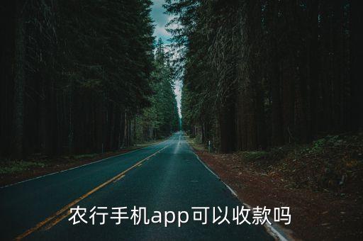 農(nóng)行手機(jī)app可以收款嗎