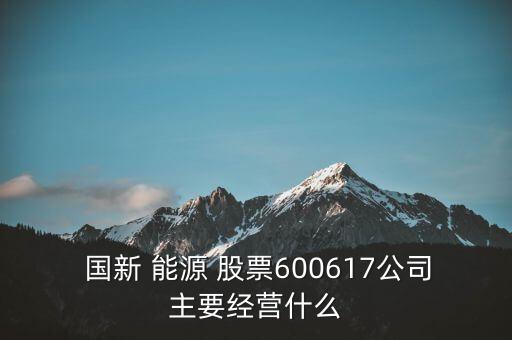  國新 能源 股票600617公司主要經(jīng)營什么