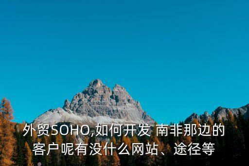 外貿(mào)SOHO,如何開發(fā) 南非那邊的客戶呢有沒什么網(wǎng)站、途徑等