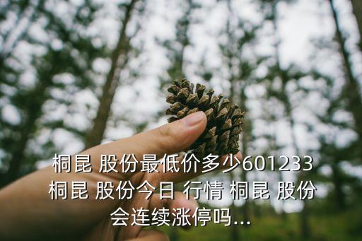 桐昆股份股票行情查詢,601233桐昆股份股票行情