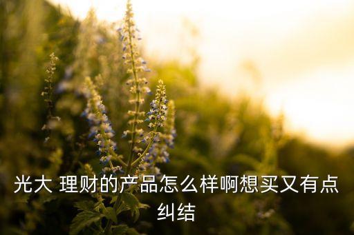 光大 理財?shù)漠a(chǎn)品怎么樣啊想買又有點糾結(jié)