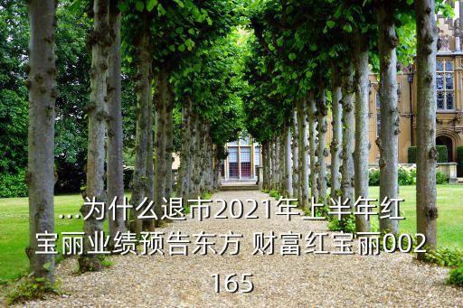 ...為什么退市2021年上半年紅寶麗業(yè)績預(yù)告東方 財富紅寶麗002165