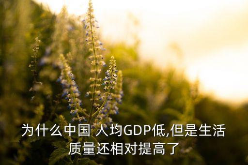 為什么中國 人均GDP低,但是生活質(zhì)量還相對提高了