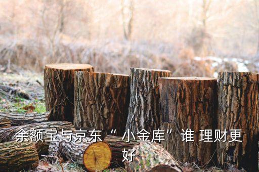 小金庫理財(cái)公司,用小金庫理財(cái)受處分案例