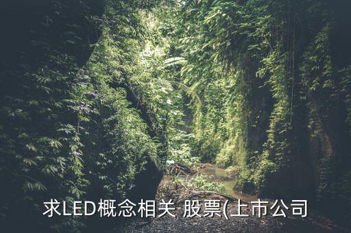 求LED概念相關(guān) 股票(上市公司