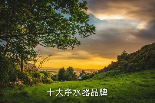 南京水處理上市公司有幾家,南京生物醫(yī)藥上市公司幾家