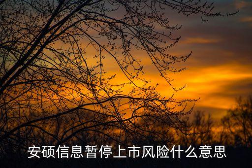  安碩信息暫停上市風(fēng)險(xiǎn)什么意思