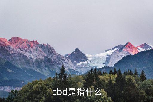  cbd是指什么