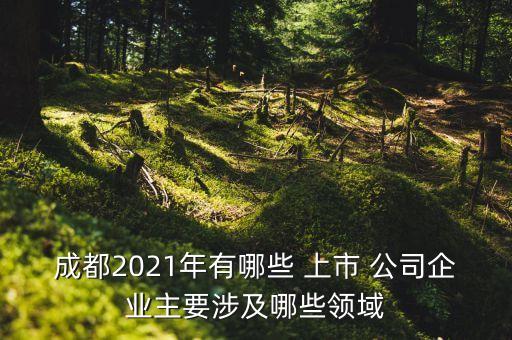 成都2021年有哪些 上市 公司企業(yè)主要涉及哪些領域