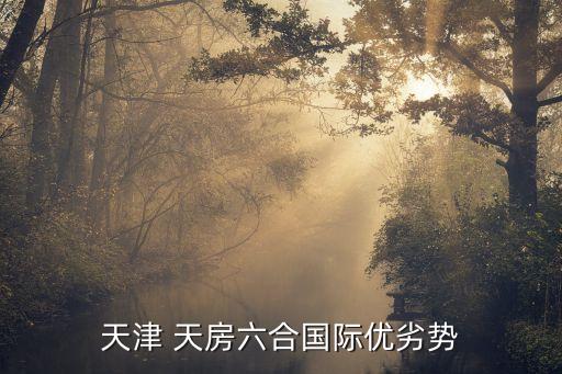 2016年天房集團發(fā)展目標(biāo)