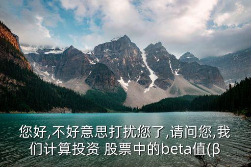 您好,不好意思打擾您了,請問您,我們計算投資 股票中的beta值(β