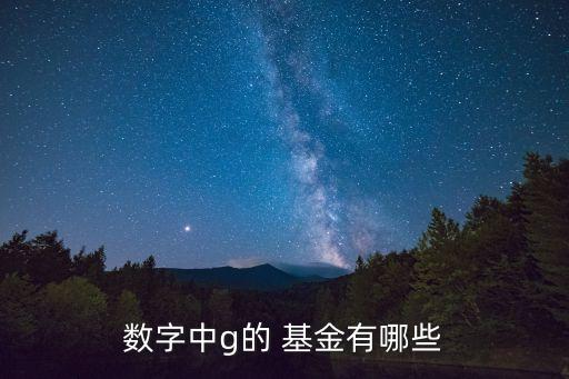 數(shù)字中g(shù)的 基金有哪些