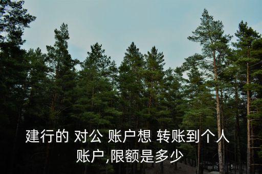 建設銀行對公賬戶網(wǎng)銀轉賬