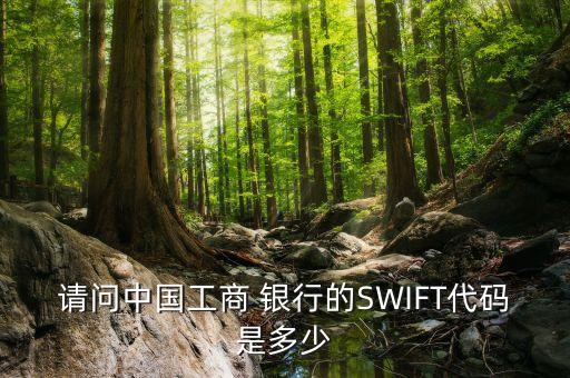 請(qǐng)問中國工商 銀行的SWIFT代碼是多少