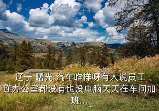  遼寧 曙光 汽車咋樣呀有人說員工連辦公室都沒有也沒電腦天天在車間加班...